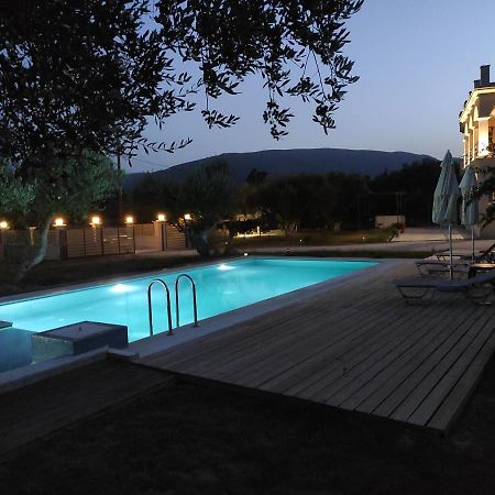 Villa Penelope Kalpaki  Екстер'єр фото