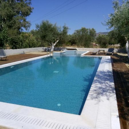 Villa Penelope Kalpaki  Екстер'єр фото